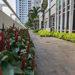 Jogging Track Jogging Track